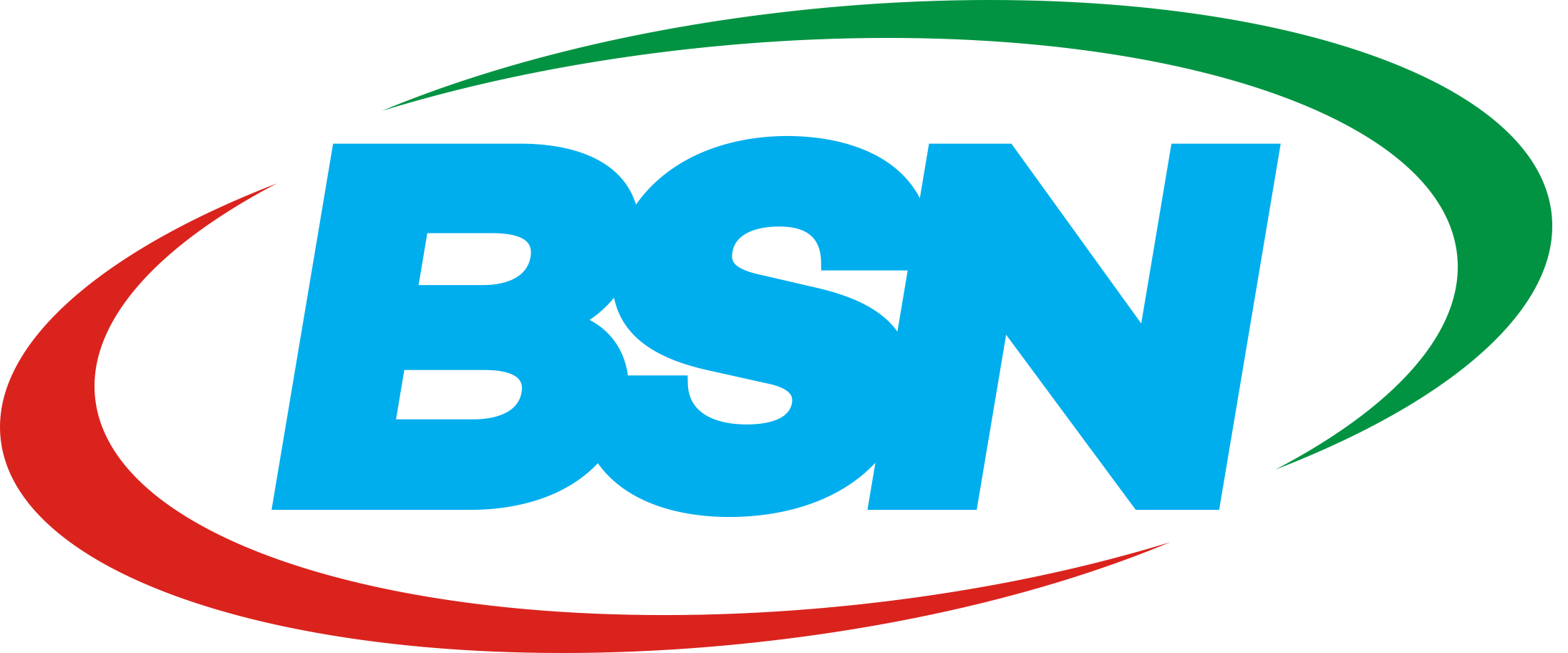 National Standardization Agency of Indonesia (BSN) Logo